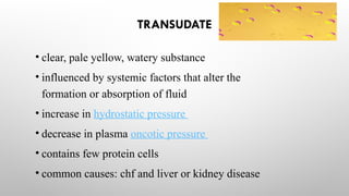 jenefa pleural effusion.pptx usefulness namaste | PPTX