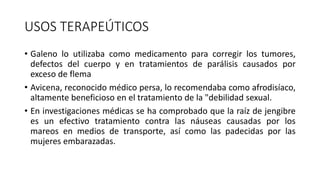 USOS TERAPEÚTICOS
• Galeno lo utilizaba como medicamento para corregir los tumores,
defectos del cuerpo y en tratamientos de parálisis causados por
exceso de flema
• Avicena, reconocido médico persa, lo recomendaba como afrodisíaco,
altamente beneficioso en el tratamiento de la "debilidad sexual.
• En investigaciones médicas se ha comprobado que la raíz de jengibre
es un efectivo tratamiento contra las náuseas causadas por los
mareos en medios de transporte, así como las padecidas por las
mujeres embarazadas.
 