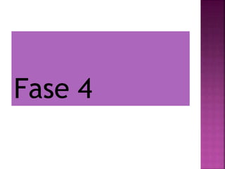 Fase 4
 