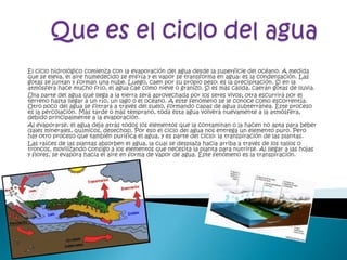 El ciclo hidrológico comienza con la evaporación del agua desde la superficie del océano. A medida
que se eleva, el aire humedecido se enfría y el vapor se transforma en agua: es la condensación. Las
gotas se juntan y forman una nube. Luego, caen por su propio peso: es la precipitación. Si en la
atmósfera hace mucho frío, el agua cae como nieve o granizo. Si es más cálida, caerán gotas de lluvia.
Una parte del agua que llega a la tierra será aprovechada por los seres vivos; otra escurrirá por el
terreno hasta llegar a un río, un lago o el océano. A este fenómeno se le conoce como escorrentía.
Otro poco del agua se filtrará a través del suelo, formando capas de agua subterránea. Este proceso
es la percolación. Más tarde o más temprano, toda esta agua volverá nuevamente a la atmósfera,
debido principalmente a la evaporación.
Al evaporarse, el agua deja atrás todos los elementos que la contaminan o la hacen no apta para beber
(sales minerales, químicos, desechos). Por eso el ciclo del agua nos entrega un elemento puro. Pero
hay otro proceso que también purifica el agua, y es parte del ciclo: la transpiración de las plantas.
Las raíces de las plantas absorben el agua, la cual se desplaza hacia arriba a través de los tallos o
troncos, movilizando consigo a los elementos que necesita la planta para nutrirse. Al llegar a las hojas
y flores, se evapora hacia el aire en forma de vapor de agua. Este fenómeno es la transpiración.
 
