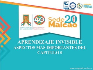 APRENDIZAJE INVISIBLE
ASPECTOS MAS IMPORTANTES DEL
CAPITULO 0
 