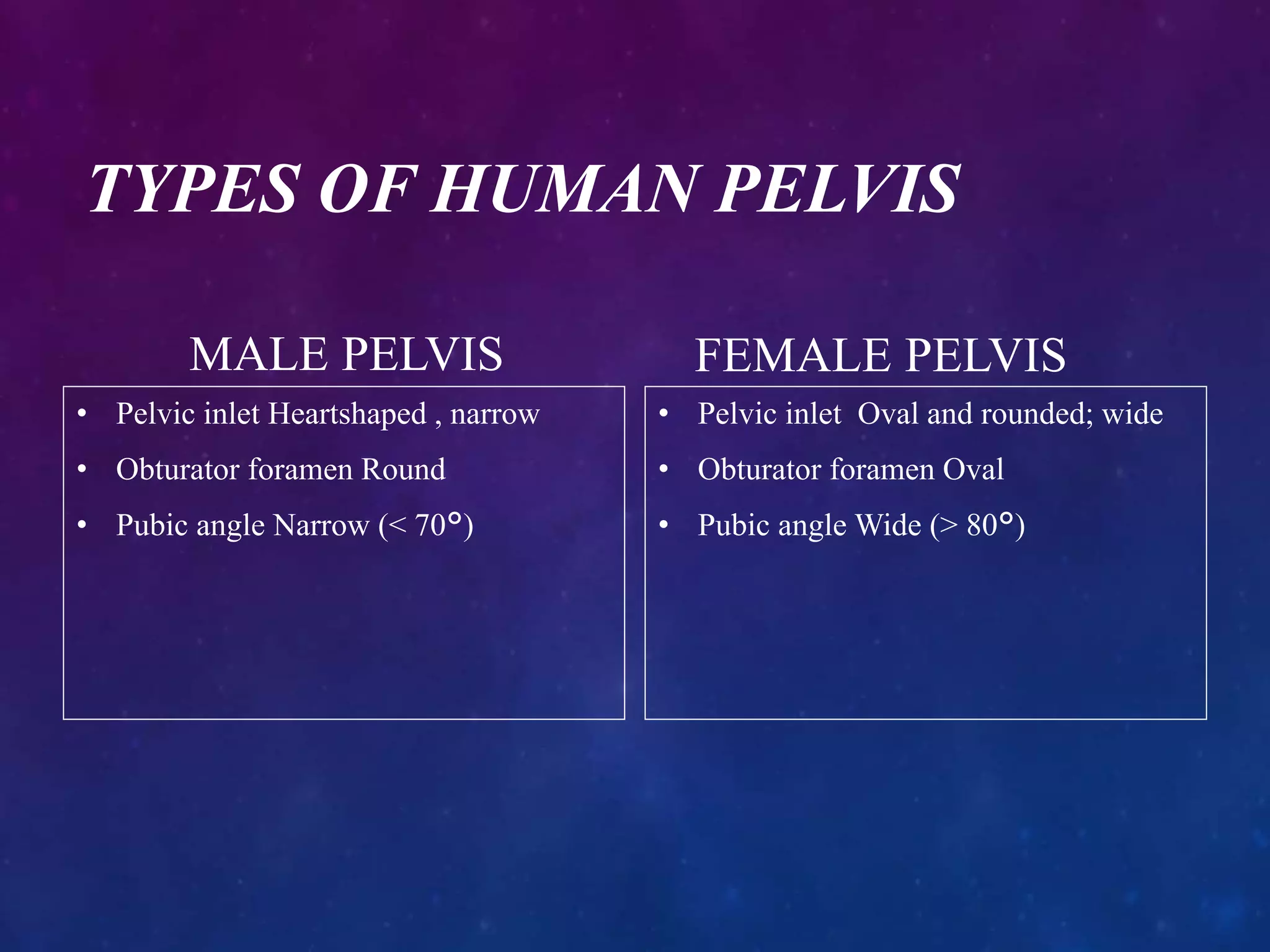 X-RAY PELVIS PROJECTIONS | PPTX