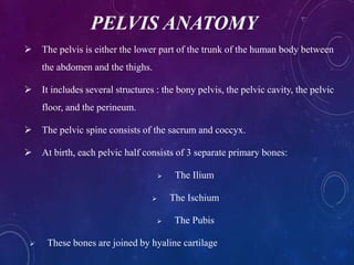 PELVIS ANATOMY
 The pelvis is either the lower part of the trunk of the human body between
the abdomen and the thighs.
 It includes several structures : the bony pelvis, the pelvic cavity, the pelvic
floor, and the perineum.
 The pelvic spine consists of the sacrum and coccyx.
 At birth, each pelvic half consists of 3 separate primary bones:
 The Ilium
 The Ischium
 The Pubis
 These bones are joined by hyaline cartilage
 