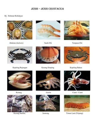 Jenis – Jenis Crustacea

By : Rohmat Rohidayat




     Abalone (haliotis)                Sushi Ebi              Tempura Ebi




         Kepiting Rajungan          Kerang Simping         Kepiting Bakau




             Kerang                      Gurita               Cumi - Cumi




          Kerang Bambu               Sontong           Timun Laut (Tripang)
 