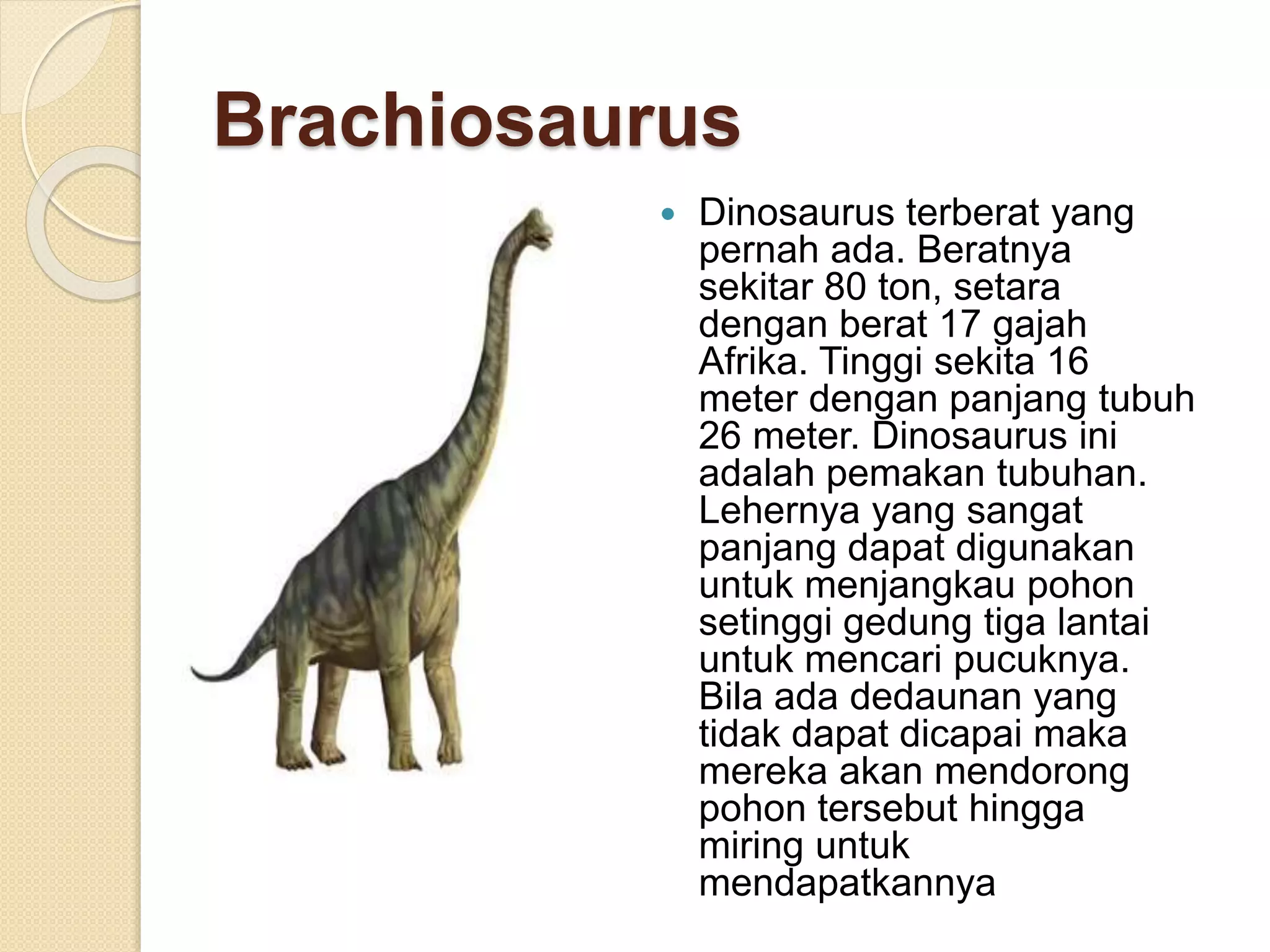 Jenis jenis dinosaurus dan gambarnya | PPT