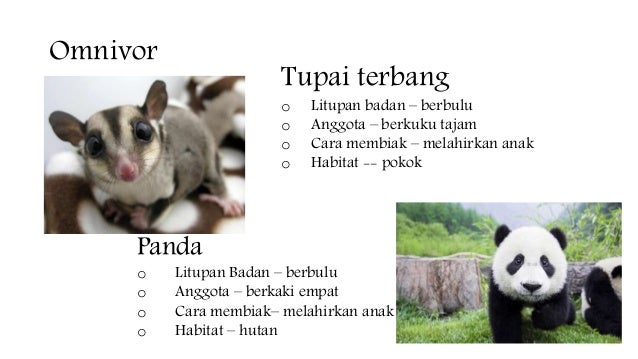 Jenis Jenis Haiwan