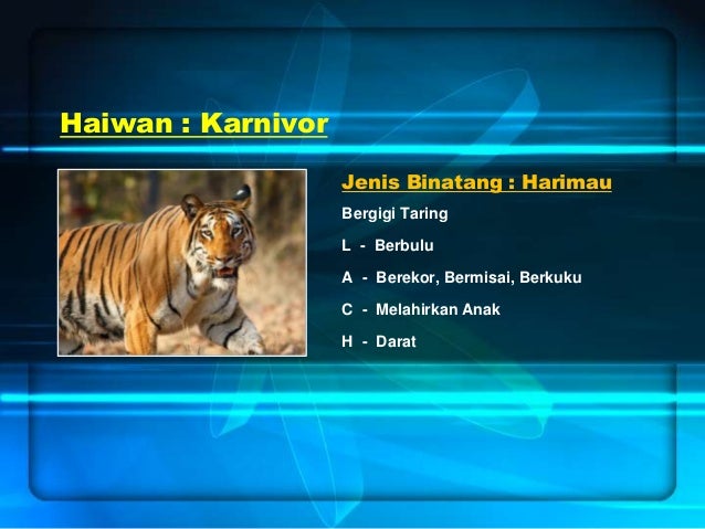 Dst Tahun 3 Haiwan