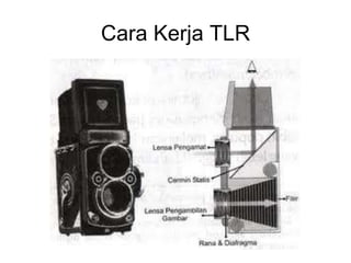 Cara Kerja TLR
 