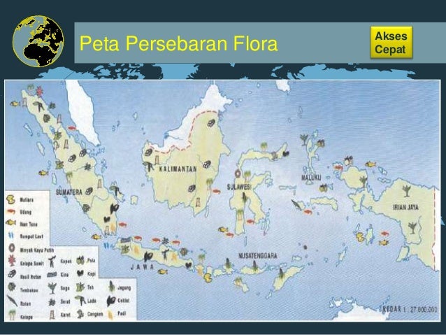 Gambar Peta  Indonesia Flora