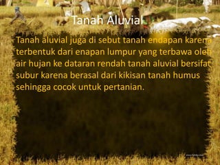 Jenis jenis tanah | PPTX