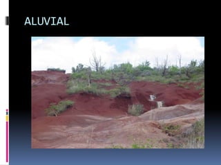 JENIS-JENIS TANAH.pptx