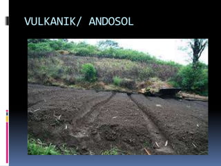 JENIS-JENIS TANAH.pptx