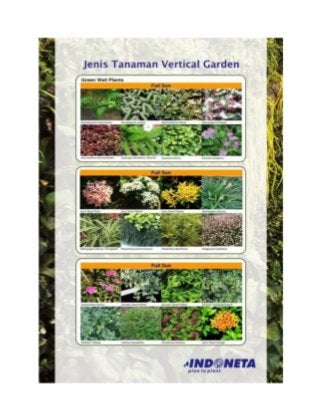 Jenis jenis tanaman vertical garden 0811-900-858