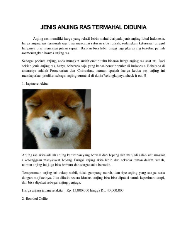 Jenis Anjing Ras Termahal