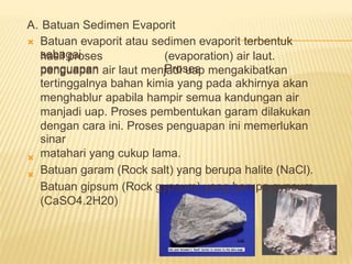 A.

Batuan Sedimen Evaporit
Batuan evaporit atau sedimen evaporit terbentuk
sebagai
hasil proses
penguapan
(evaporation) air laut.
Proses
penguapan air laut menjadi uap mengakibatkan
tertinggalnya bahan kimia yang pada akhirnya akan
menghablur apabila hampir semua kandungan air
manjadi uap. Proses pembentukan garam dilakukan
dengan cara ini. Proses penguapan ini memerlukan
sinar
matahari yang cukup lama.
Batuan garam (Rock salt) yang berupa halite (NaCl).
Batuan gipsum (Rock gypsum) yang berupa gypsum
(CaSO4.2H20)


 