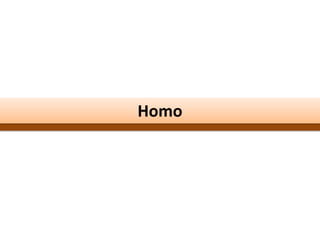 Homo
 