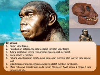 Jenis dan ciri manusia purba | PPT