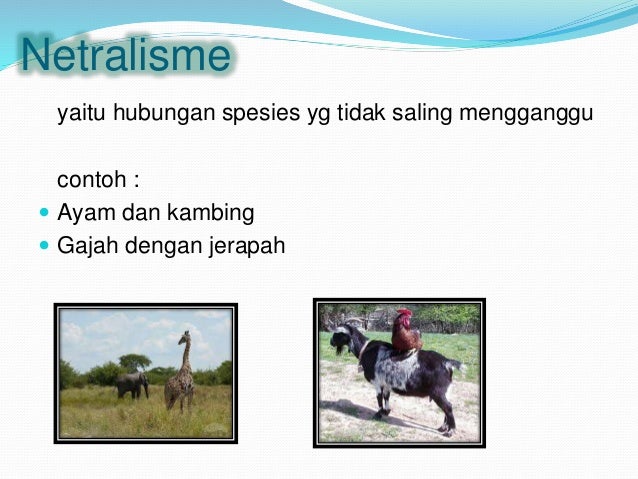 Interaksi antar komponen biotik