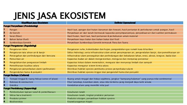 Fungsi Air Bersih Bagi Ekosistem Hutan : Reboisasi juga dapat