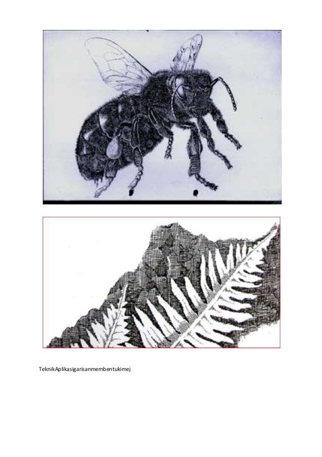 Jenis jenis garisan dan tona