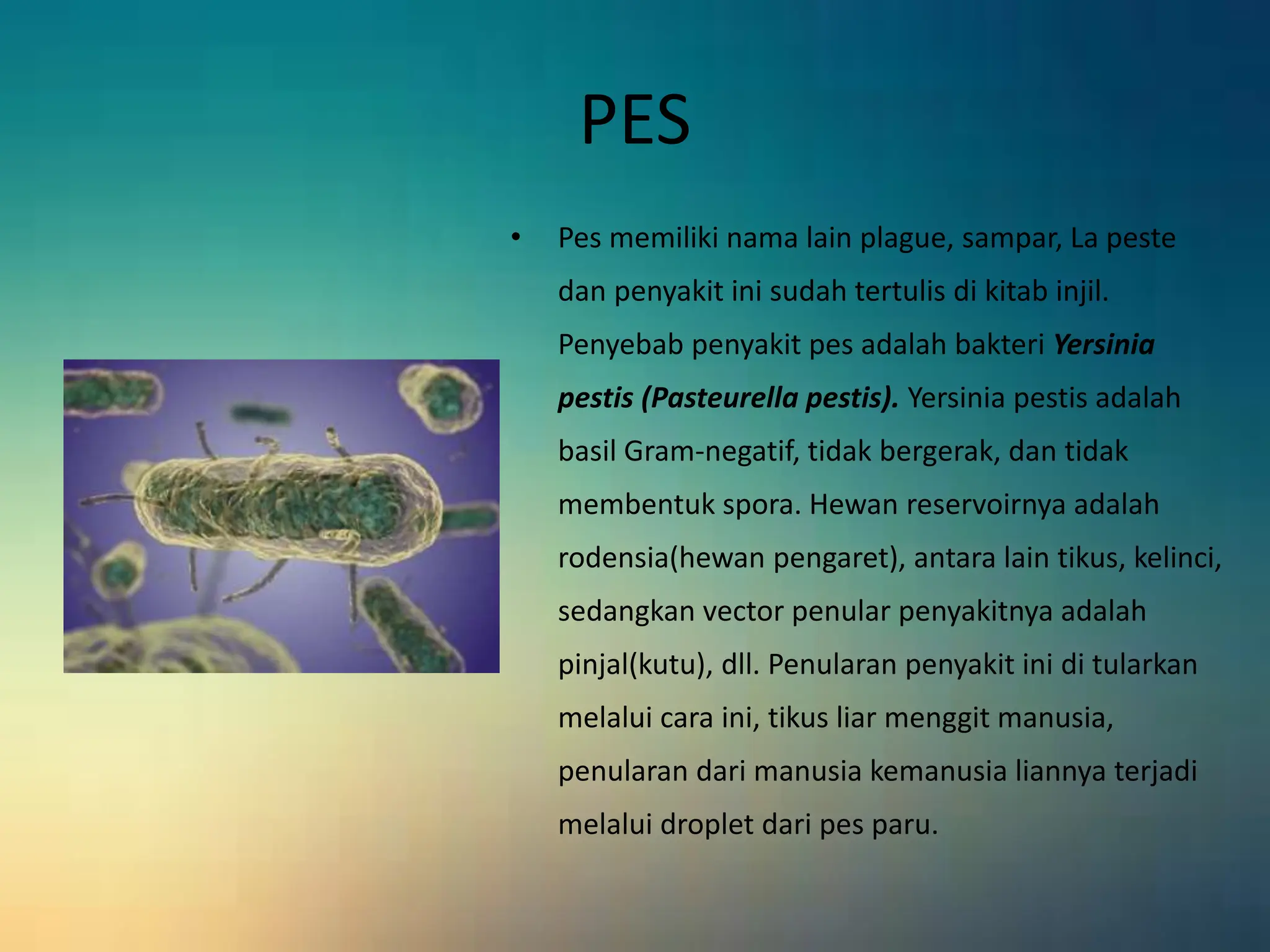 jenis jenis penyakit infeksi di sekitar kita | PPTX