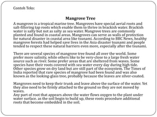 Contoh Teks:
Mangrove Tree
A mangrove is a tropical marine tree. Mangroves have special aerial roots and
salt-filtering tap roots which enable them to thrive in brackish water. Brackish
water is salty but not as salty as sea water. Mangrove trees are commonly
planted and found in coastal areas. Mangroves can serve as walls of protection
for natural disaster in coastal area like tsunami. According to BBC News, healthy
mangrove forests had helped save lives in the Asia disaster tsunami and people
tended to respect these natural barriers even more, especially after the tsunami.
There are several species of mangrove tree found all over the world. Some
prefer more salinity, while others like to be very-close to a large fresh water
source such as river. Some prefer areas that are sheltered from waves. Some
species have their roots covered with sea water every day during high tide.
Other species grow on dry land but are still part of the ecosystem. The Times of
India reported that rare species of mangrove had been found and was also
known as the looking-glass tree, probably because the leaves are silver-coated.
Mangroves need to keep their trunk and leave above the surface of the water. Yet
they also need to be firmly attached to the ground so they are not moved by
waves.
Any part of root that appears above the water flows oxygen to the plant under
water surface. as the soil begin to build up, these roots procedure additional
roots that become embedded in the soil.
 