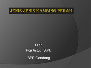 Jenis-jenis KAMBING PERAH




            Oleh :
      Puji Astuti, S.Pt.

       BPP Gondang
 