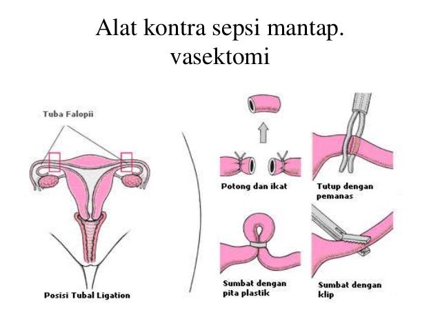 Pengertian Mandi Harus Tata Cara Rukun Sunnah Niat