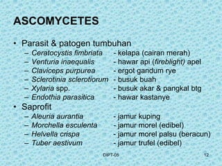Patogen jenis patogen bakteri jamur kapang dan mikroorganisme.ppt
