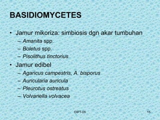 Patogen jenis patogen bakteri jamur kapang dan mikroorganisme.ppt