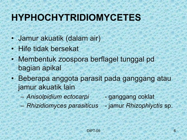 jenis patogen bakteri jamur kapang dan mikroorganisme.ppt
