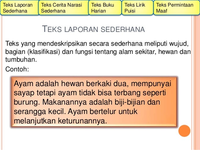 Contoh Teks Laporan Sederhana Kelas 2 Sd