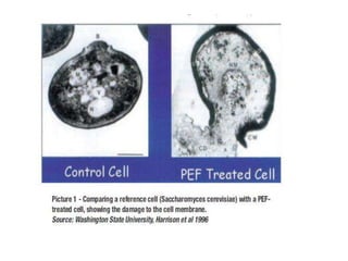 Effect of non thermal processing methods on microwrganisms | PPTX