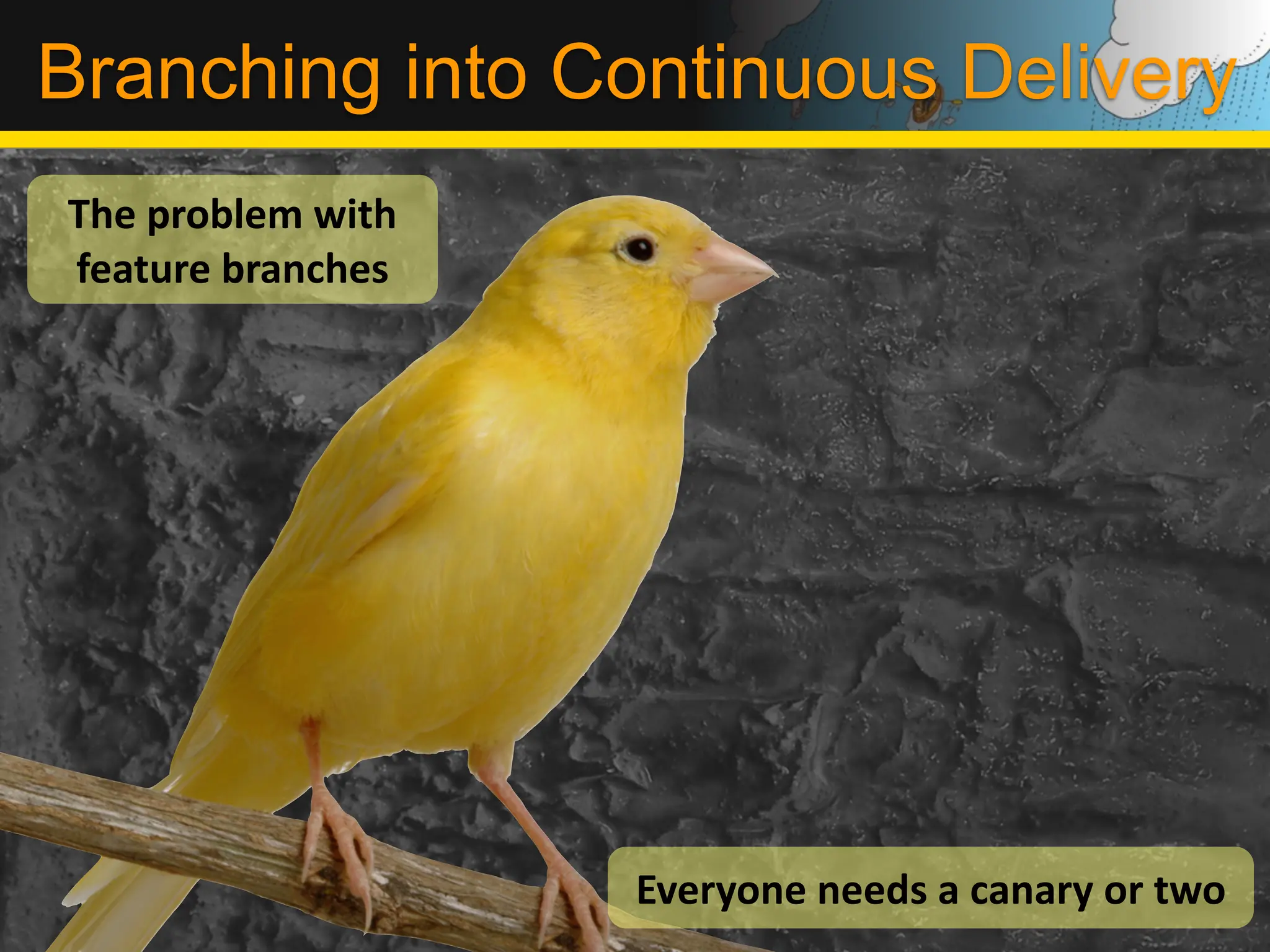 Branching into Continuous Delivery
The	
  problem	
  with	
  
feature	
  branches




                             Everyone	
  needs	
  a	
  canary	
  or	
  two
 