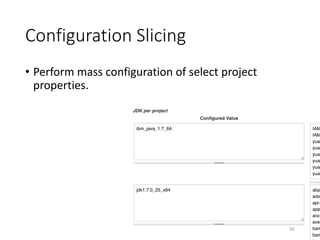 Configuration	Slicing
56
• Perform	mass	configuration	of	select	project	
properties.
 