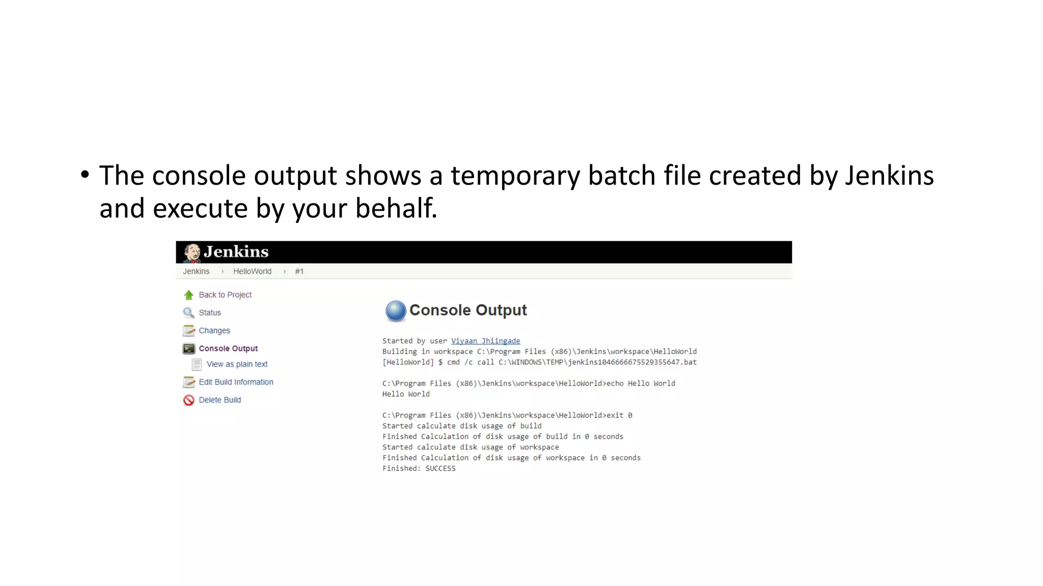 • The console output shows a temporary batch file created by Jenkins
and execute by your behalf.
 