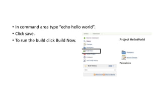 • In command area type “echo hello world”.
• Click save.
• To run the build click Build Now.
 