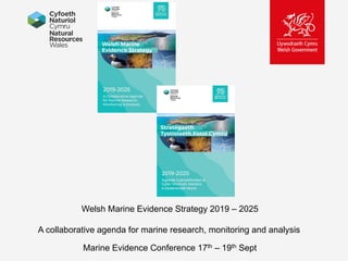 Welsh Marine Evidence Strategy 2019 – 2025
A collaborative agenda for marine research, monitoring and analysis
Marine Evidence Conference 17th – 19th Sept
 