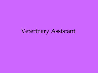 Veterinary Assistant
 