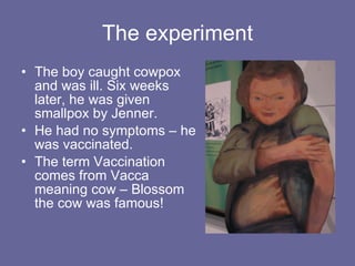 The experiment The boy caught cowpox and was ill. Six weeks later, he was given smallpox by Jenner.  He had no symptoms – he was vaccinated. The term Vaccination comes from Vacca meaning cow – Blossom the cow was famous! 