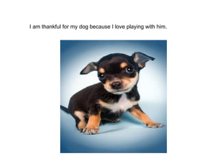 I am thankful for my dog because I love playing with him.