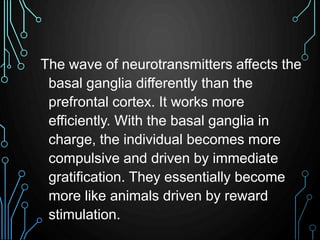 The wave of neurotransmitters affects the 
basal ganglia differently than the 
prefrontal cortex. It works more 
efficient...