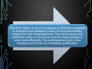 REVIEW: When a minor is exposed to SEM the amygdala 
is activated and releases a wave of neurotransmitters 
(dopamine and ...