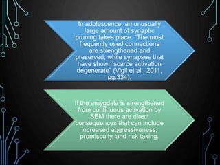 In adolescence, an unusually 
large amount of synaptic 
pruning takes place. “The most 
frequently used connections 
are s...