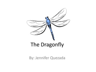 The Dragonfly By: Jennifer Quezada 