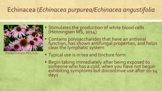 Echinacea (Echinacea purpurea/Echinacea angustifolia 
▪ Stimulates the production of white blood cells 
(Henningsen MS, 2014) 
▪ Contains polysaccharides that have an antiviral 
function, has shown antifungal properties, and helps 
clear the lymphatic system 
▪ Typical use is in tea and tincture form 
▪ Begin taking immediately after being exposed to 
someone who has a cold, when you have not begun 
exhibiting symptoms but discontinue use after 10-14 
days 
(Herbal Extracts Plus, n.d.) 
 