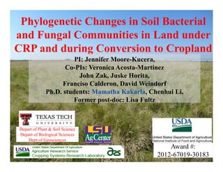 Phylogenetic Changes in Soil Bacterial
and Fungal Communities in Land under
CRP and during Conversion to Cropland
PI: Jennifer Moore-Kucera,
Co-PIs: Veronica Acosta-Martinez
John Zak, Juske Horita,
Franciso Calderon, David Weindorf
Ph.D. students: Mamatha Kakarla, Chenhui Li,
Former post-doc: Lisa Fultz
Depart of Plant & Soil Science
Depart of Biological Sciences
Dept of Geosciences
Award #:
2012-67019-30183
 