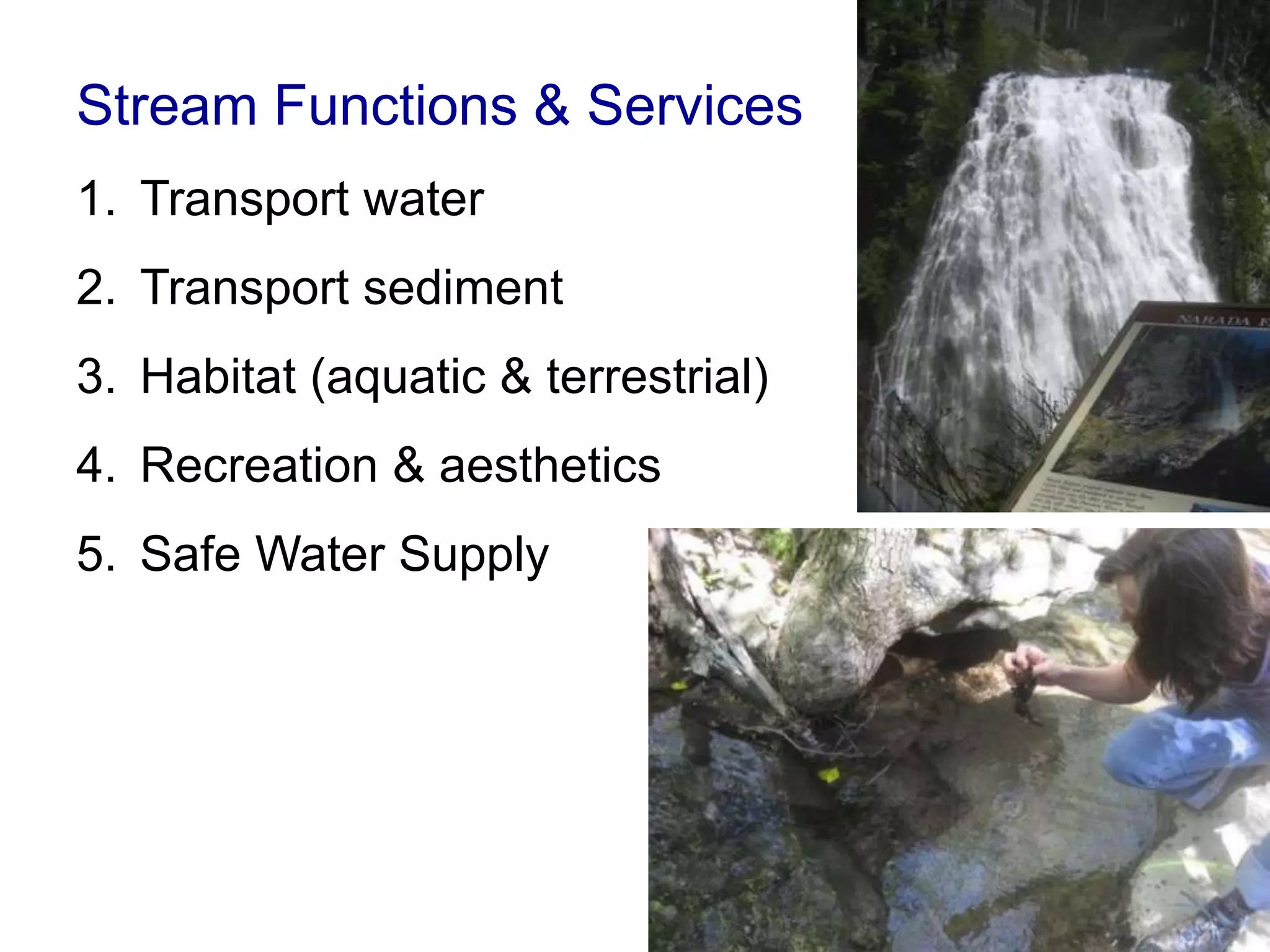Stream Functions & Services
1. Transport water
2. Transport sediment
3. Habitat (aquatic & terrestrial)
4. Recreation & aesthetics
5. Safe Water Supply
 