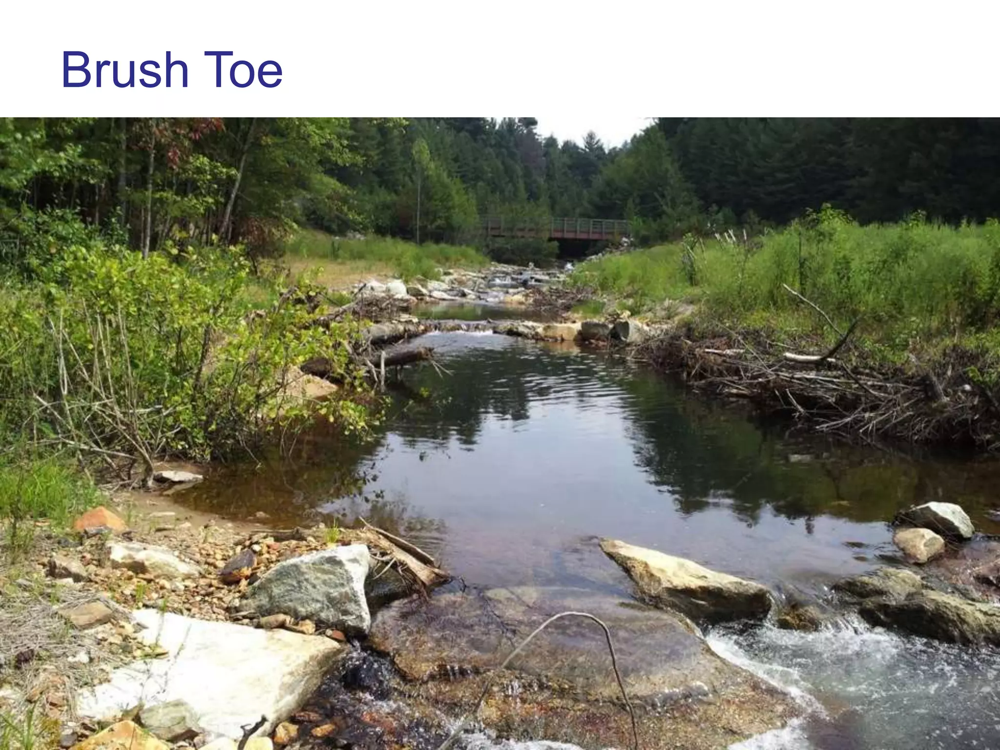 Brush Toe
• Layers of logs and brush under water in pools
• Live cuttings above water (silky dogwood, elderberry)
• Matting, seed, transplanted alders on top
 
