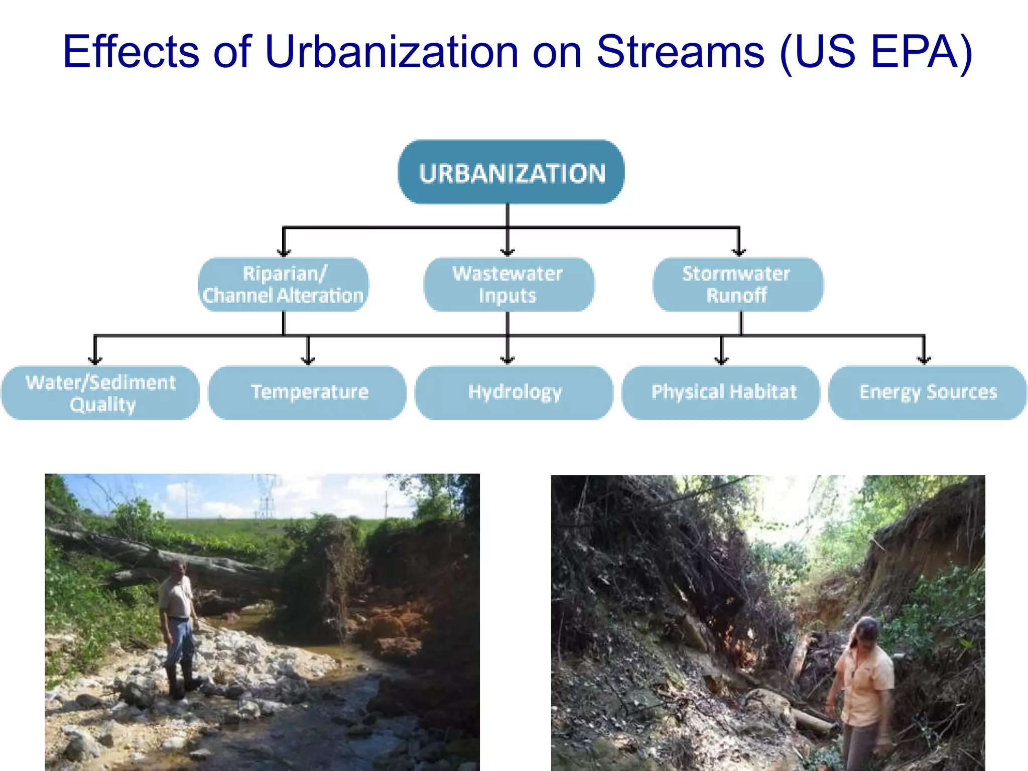 Effects of Urbanization on Streams (US EPA)
 
